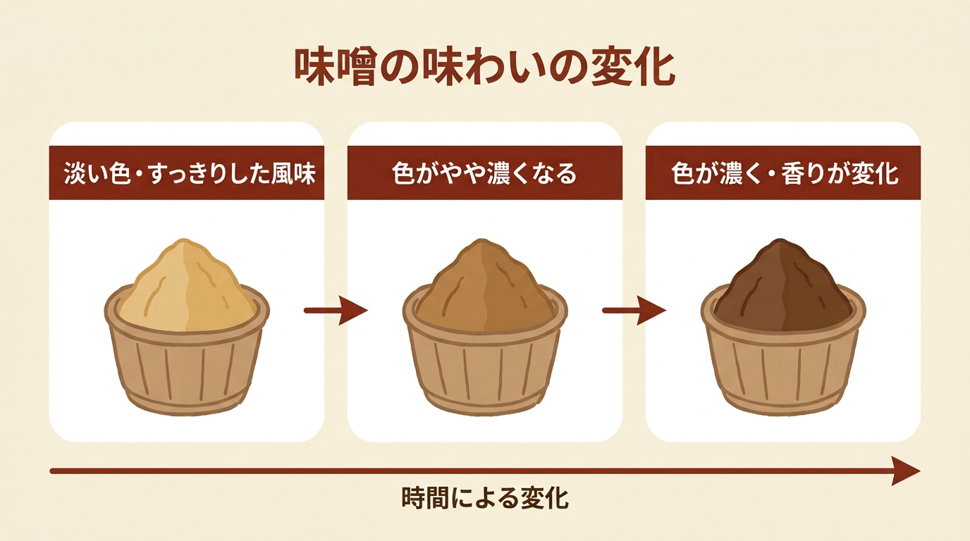 味噌の色と風味が時間の経過とともに淡い色から濃い色へ変化していく様子を3段階で示した図