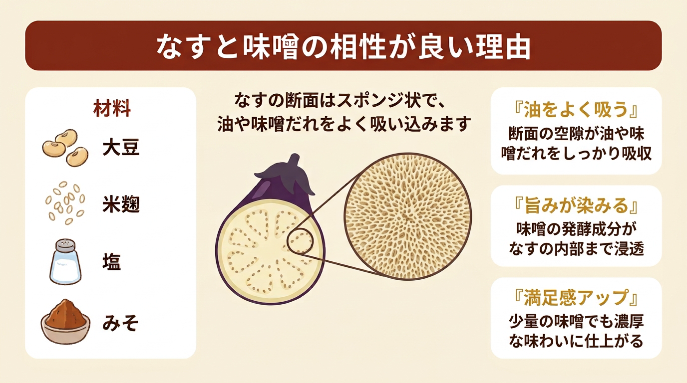 なすと味噌の相性が良い理由を示す図解（なすの断面はスポンジ状で油や味噌だれをよく吸い込み、旨みが染みて、少量の味噌でも満足感がアップする）