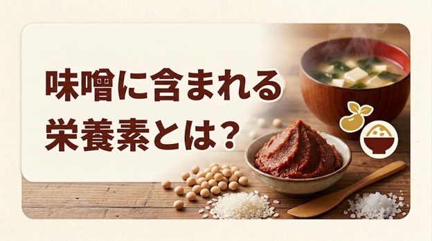 味噌にはどんな栄養素が含まれる？三大栄養素からミネラル・発酵の成分まで